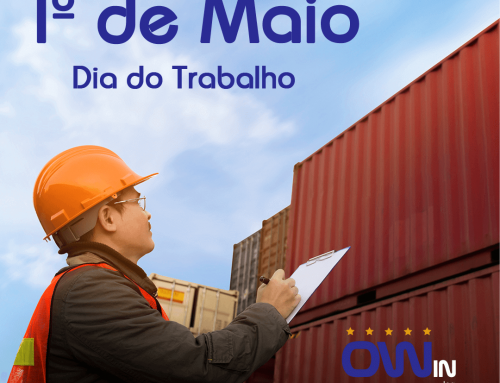 Dia Do Trabalho – Owin Log